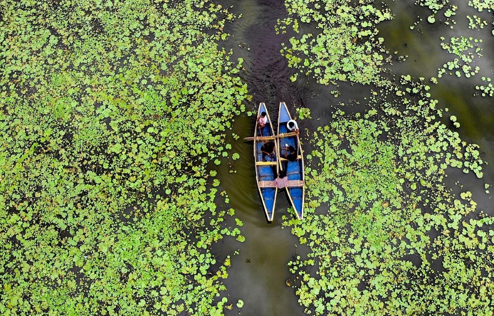 Find the best discount rates for Guest House in Calangute, Goa