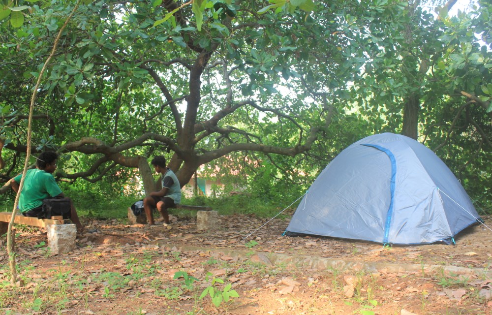 River Valley Campground Blog Pictures